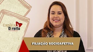 Explica Direito Filiação Socioafetiva  2019 [upl. by Otto769]