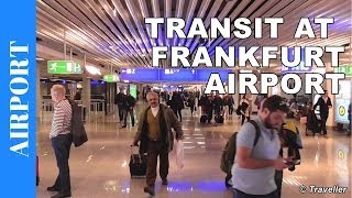 TRANSIT WALK AT FRANKFURT Airport FRA Terminal 1  Connection Flight Transfer Arriving amp Departing [upl. by Nyrrek320]